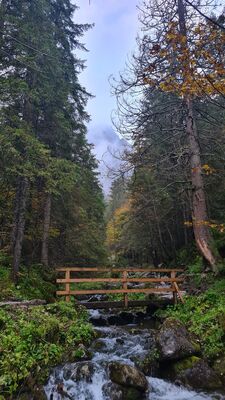 Mostek nad Strążyskim Potokiem - żółty szlak do Siklawicy