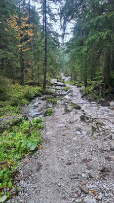 Żółty szlak z Siklawicy