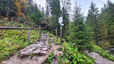 Rozejście szlaków na Polanie Strążyskiej