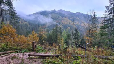 Jatki i Kiernia widziane ze Ścieżki nad Reglami nad Polaną Strążyską