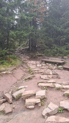 Czerwona Przełęcz pod Sarnią Skałą