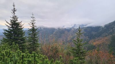 Widok na wschód ze szlaku spod Sarniej Skały