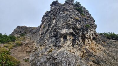 Wschodnia ściana Sarniej Skały