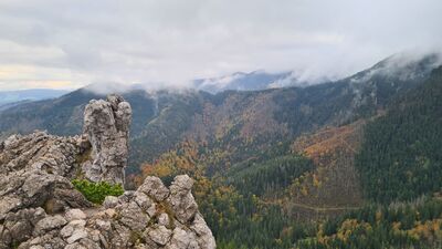 Widok z Sarniej Skały na wschód