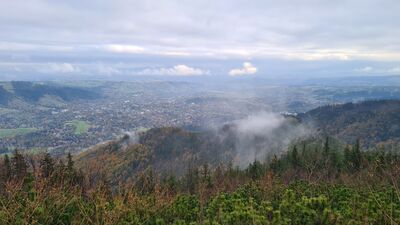 Widok z Sarniej Skały na Zakopane