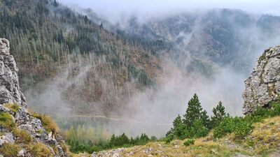 Widok z Sarniej Skały na Ścieżkę pod Reglami