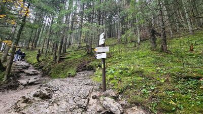 Rozejeście szlaków nad Białym Potokiem