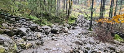 Dolina Białego (górne piętro) [Rozejeście szlaków nad Białym Potokiem]