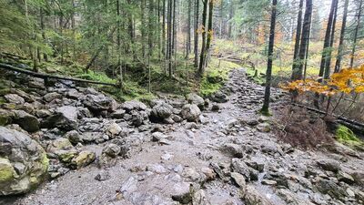 Rozejeście szlaków nad Białym Potokiem
