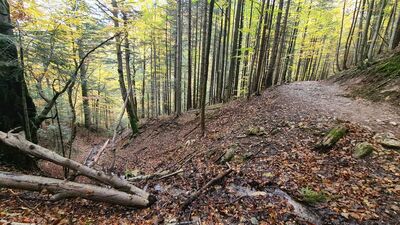 Żółty szlak pod Igłą