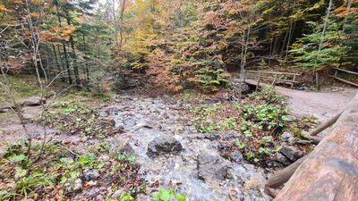 Biały Potok pod Sarnim Wodospadem