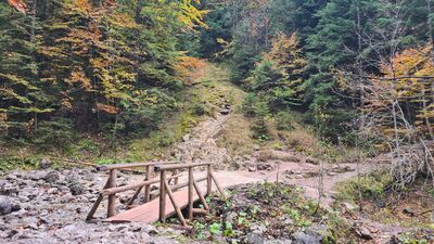 Mostek nad Białym Potokiem