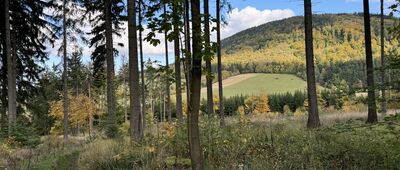 Tablica upamiętniająca księdza Józefa Sikorę ↔ Rozejście szlaków