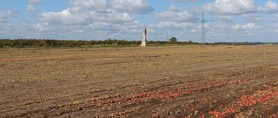 Rozejście szlaków