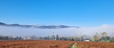 Krąglak ↔ Marciszów Górny [Marciszów we mgle]