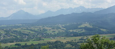 Furmanowa ↔ Rafaczańska Grapa [Widok na Tatry z drogi między wzgórzami Furmanów a Wierch Grapa: najdalej od lewej Stara Javorinka, Hawrań, Przełęcz pod Kopą, Jagnięcy, Kołowy, Baranie Rogi, Lodowy, na ich tle Sołtysie Kopy]