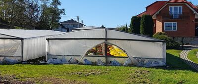 Ogrojec ↔ Nowe Kichary