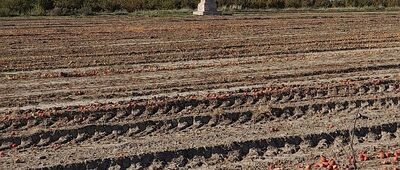 Ogrojec ↔ Rozejście szlaków