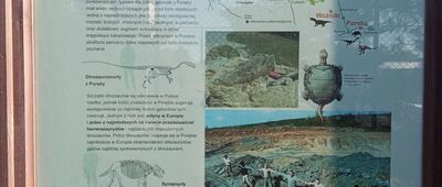 Kanus ↔ Żędowice [Muzeum Paleontologiczne w Lisowicach]