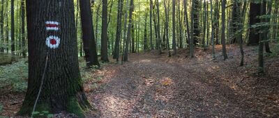 Repty Śląskie, park