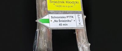 Śnieżnik