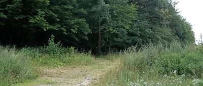 Droga Karczowice - Ciepłowody [Droga Karczowice - Ciepłowody]