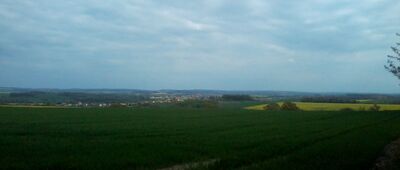 Las nad Krzywiną ↔ Gromnik, rozwidlenie