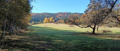 Ropki, skrzyżowanie ↔ Ropki