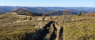 Bukowe Berdo, odejście żółtego szlaku [Bieszczady - masyw Bukowego Berda odejście żółtego szlaku do Mucznego]