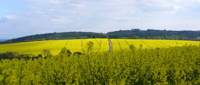 Stachów ↔ Bednarz