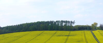 Stachów ↔ Bednarz