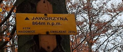 Jaworzyna