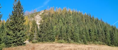 Polana Kopieniec [Wielki Kopieniec z Polany Kopieniec]
