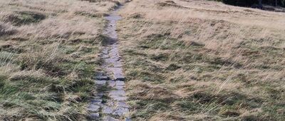 Schronisko Hala Szrenicka [Odejście szlaku zielonego od czerwonego przy schronisku "Na Hali Szrenickiej" - widok na zachód]