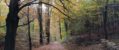 Rozejście szlaków ↔ Dolina Krowioka