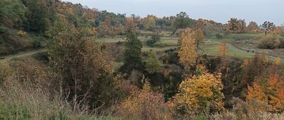 Góra Świętej Anny, ul. Powstańców Śląskich