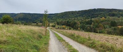 Kotoń Zachodni ↔ Trzebunia, Wronowo