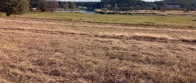 Piaski ↔ Bukowce [Warta]