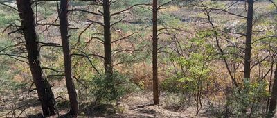 Bukowce ↔ Rozejście szlaków