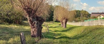 Wariacja rowerowa na drzewach ↔ Malęda