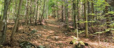 Pod Kopou ↔ Ľubochnianske sedlo, rázc.