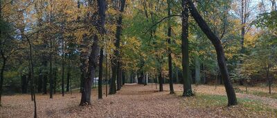 Góra Świętej Anny, aleja Jana Pawła II ↔ Leśnica, muzeum