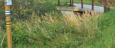 Zubeńsko [Tablice szlakowe w dawnej wsi Zubeńsko]