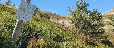 Pod Przełęczą Orłowicza [Drogowskaz szlakowy w węźle Pod Przełęczą Orłowicza]