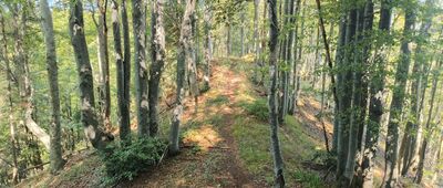 Malý Lysec, rázc. ↔ Štefanová, rozejście