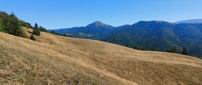 Javorina ↔ Šoproň