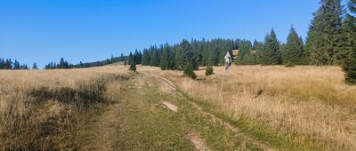 Smrekovica, vojenská zotavovňa ↔ Močidlo, rázc.