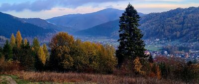 Krościenko ↔ Toporzysko [Widok na Krościenko nad Dunajcem z żółto-zielonego szlaku na Trzy Korony]