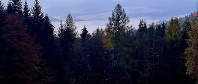 Przełęcz Szopka [Tatry z Przełęczy Szkopka]