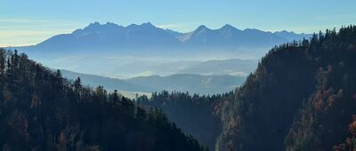 Sokolica [Widok na Tatry Wysokie z Sokolicy]